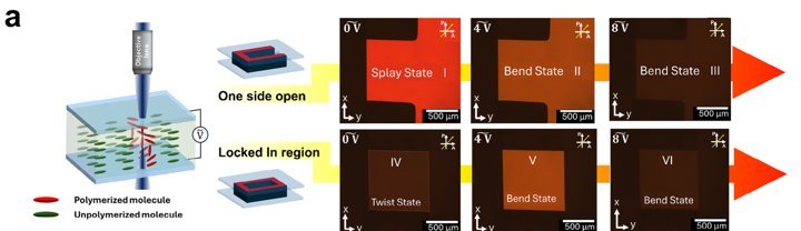 Locked-in topological domains in a pi-cell imaged under crossed polarizers
