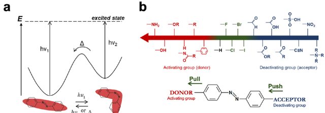 Photo-switching of azobenzene and the push-pull mechanism