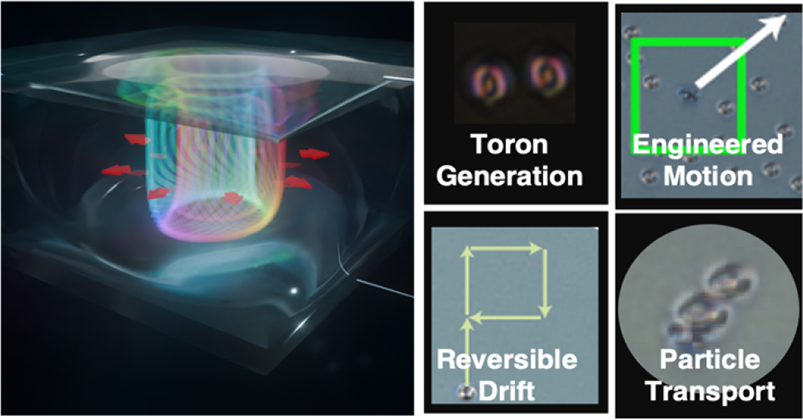 Field-programmable torons in a chiral nematic LC cell: toron generation, engineered motion, reversible drift and particle transport
