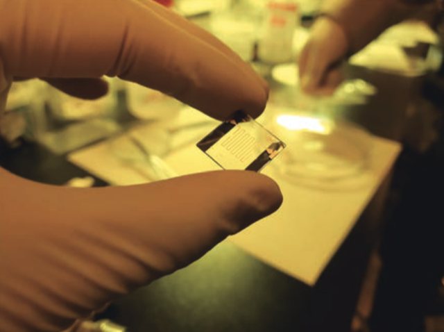 Hand-held LC-based RF test device