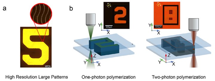 High-resolution LC pattern and topological structures written by one- and two-photon polymerization